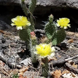 Meet your Posher, Cathy